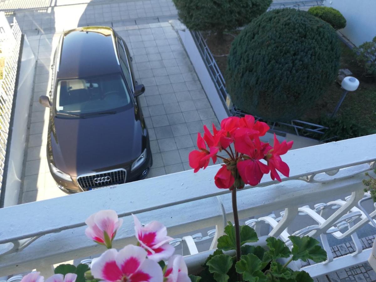 Apartmani Capi โกลูบาค ภายนอก รูปภาพ